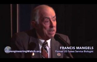 Former US Forest Service Scientist Testifies About Climate Engineering Contamination