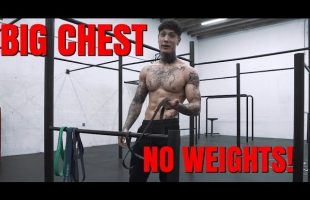 How To Get A BIGGER CHEST Without Weights | THENX