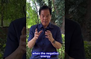 What is Fusion of the Five Elements? Deep negative emotions transformation #mantakchia