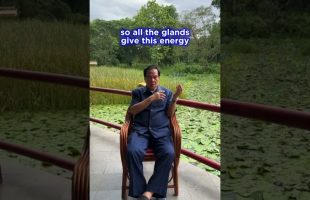 What is the difference between arousal and orgasm energy? Taoist sexual practice #mantakchia
