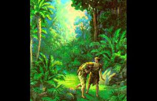 Terence Mckenna – Historys first drug bust