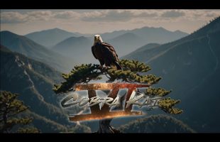 Cobra Kai | Ambient Soundscape