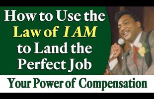How to Use the Law of I AM to Land the Perfect Job – Rev. Ike’s Power of Employment & Compensation