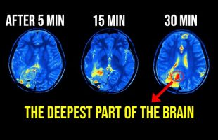This Will Revolutionize Our Future! 10 out of 10 People Activated It.