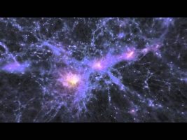 Terence Mckenna – The Evolution of Reality