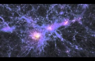 Terence Mckenna – The Evolution of Reality