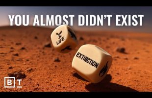 How 2 freak accidents shaped human evolution | Sean B. Carroll Segment