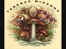 Terence McKenna – The Nature of Magic, Science, Conciousness and Psychedelics