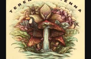 Terence McKenna – The Nature of Magic, Science, Conciousness and Psychedelics