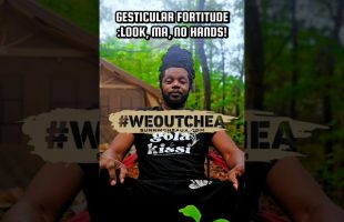 Gesticular Fortitude: Look, Ma, No Hands! (Is This What You Want?) #weoutchea