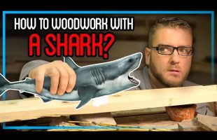 Using a SHARK as Sandpaper
