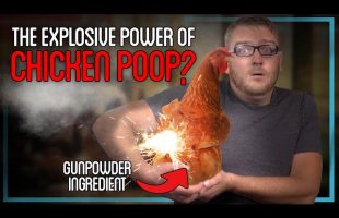 Why I Spent 3 Days Boiling Chicken Poop