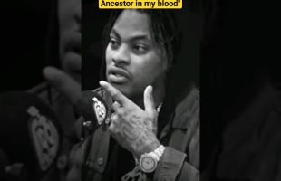 “I have no Africans Ancestors in my blood” – Wacka Flocka Flame #shorts #trending #kurmeo