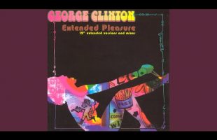 Do Fries Go With That Shake