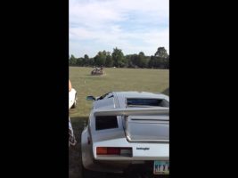 A bottle of champagne and DeLorean polo.