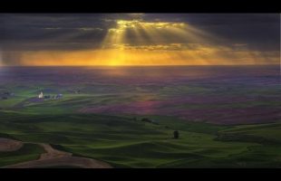The Enlightenment of the World (Videobook)