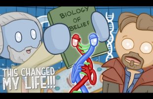 The Biology of Belief Explained