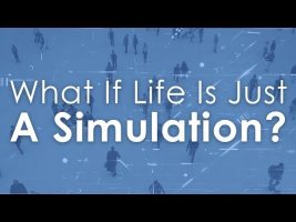 If Life Was A Simulation, How Would You Want To Live?