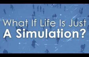 If Life Was A Simulation, How Would You Want To Live?