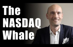 Is Softbank Really The Nasdaq Whale, or is it Robinhood Traders?