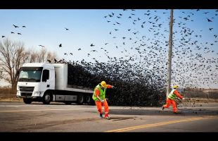 Most Ridiculous Worker Mistakes Caught on Camera