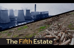 Why wood from B.C. forests is burning to fuel U.K. energy needs – The Fifth Estate