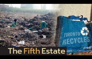 Canadian recycling companies caught shipping illegal trash overseas – The Fifth Estate