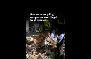 How some recycling companies send illegal trash overseas #shorts