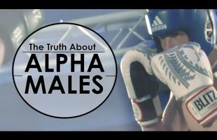 What Does It Mean To Be An Alpha Male? – How The Role Of Alpha Has Changed Over Time