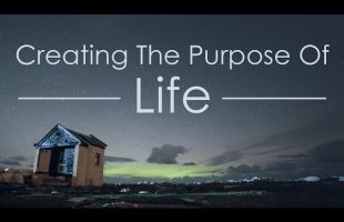 The Purpose Of Life – How Humans Create Meaning Out Of Meaninglessness