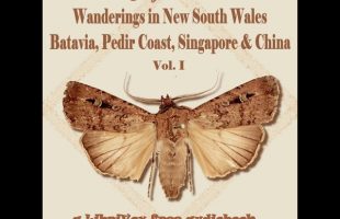 Wanderings in New South Wales, Batavia, Pedir Coast, Singapore, and China Vol. 1 Part 1/2