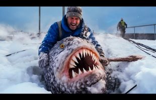 Incredible Moments Caught on Camera
