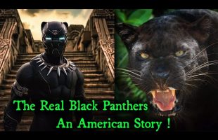 PT 3 – Unsung Heroes Of America / The Real Black Panthers / An American Story / Origin of T’Challa