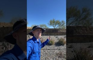 Talinn in Phoenix #homeinspection #construction