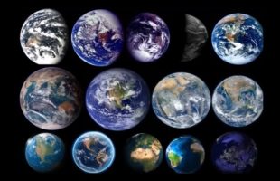 The Shape of the World (Videobook)