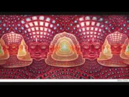 Terence Mckenna recounts dmt trip in detail