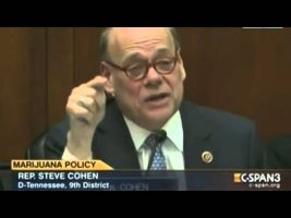 Hearing on the war on drugs, marijuana and psychedelics at the senate