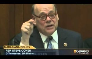 Hearing on the war on drugs, marijuana and psychedelics at the senate