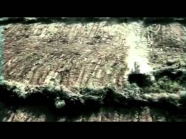 Terence Mckenna – Shamanism of the 21st century