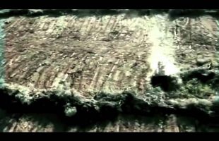 Terence Mckenna – Shamanism of the 21st century