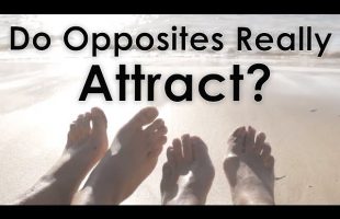 Do Opposites Really Attract? – How To Choose The Right Partner