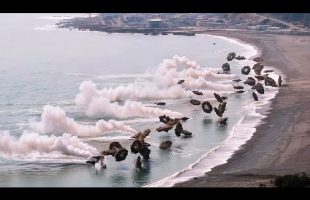 Drone’s Camera Caught Something Incredible