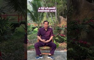 Mindful method to improve your digestion through focus and breathing. Taoist Master Mantak Chia☯️
