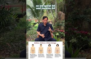 Collecting energy after practice for men and women. Storing Qi in the Tan Tien #mantakchia