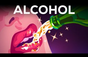 Alcohol is AMAZING