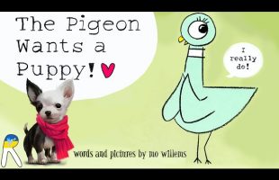 The Pigeon Wants a Puppy – Animated Read Aloud Book for Kids