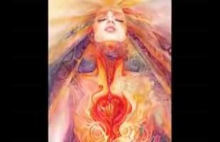 Terrence Mckenna  Nobody is smarter than you are