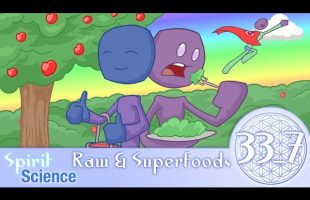 The Power of Raw & Superfoods