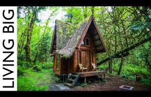 Enchanting Cabin In The Forest