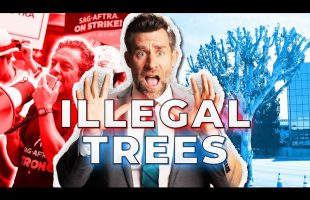 Cutting Down Trees To Hurt Protesters? (TREE LAW!)